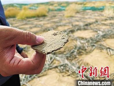 生物礦化固沙技術(shù)在國內(nèi)..應(yīng)用